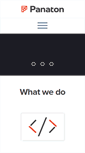Mobile Screenshot of panatonsoftware.com