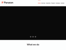 Tablet Screenshot of panatonsoftware.com